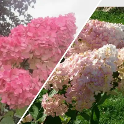 Комплект МНОГОГРАННОСТЬ в Орше