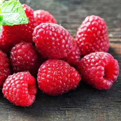 Малина ЭРИКА в Орше