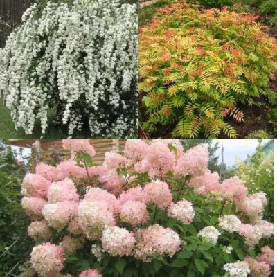 Комплект ФЕЙЕРВЕРК ЛЕТА в Орше