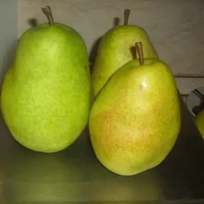 Груша БЕРЕ ЛЮКА в Орше