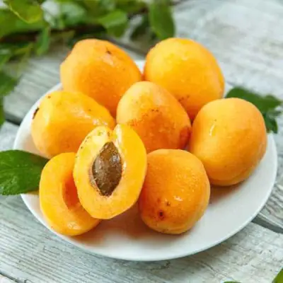 Абрикос АНАНАСНЫЙ в Орше