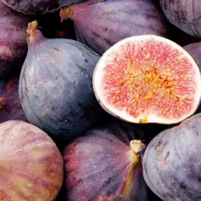 Инжир МУАССОН в Орше