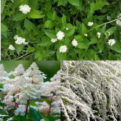 Комплект СКАНДИНАВСКИЙ СТИЛЬ в Орше