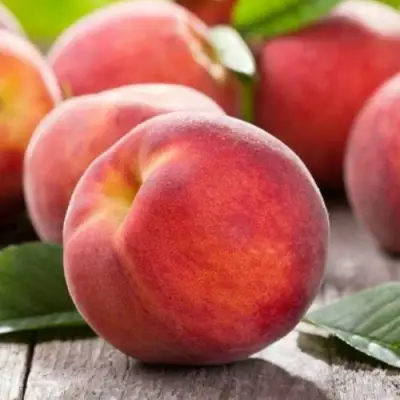 Персик МАЙСКИЙ ЦВЕТОК в Орше