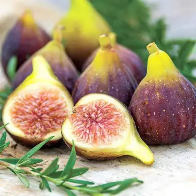 Инжир НИКИТСКИЙ в Орше