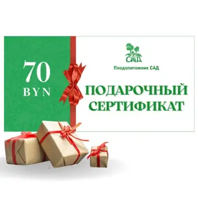 Подарочный сертификат на  70 BYN в Орше