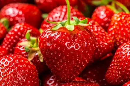 Сорта ягодных кустарников - Клубника