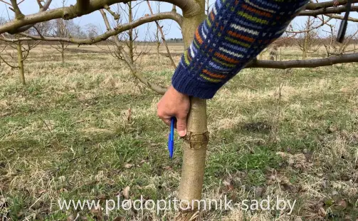 Превью видео