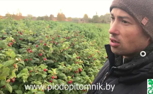 Превью видео