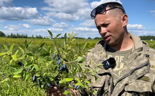 Превью видео