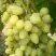 Виноград ЗАРНИЦА в Орше