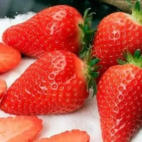 Клубника АЛЬБА  Клубника АЛЬБА в Орше