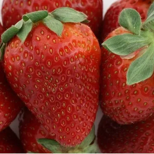 Клубника ФЛАМИНИЯ  Клубника ФЛАМИНИЯ в Орше