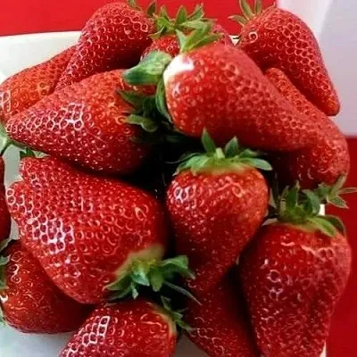 Клубника БРИЛЛА в Орше