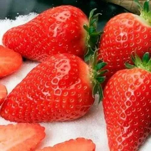 Клубника АЛЬБА в Орше
