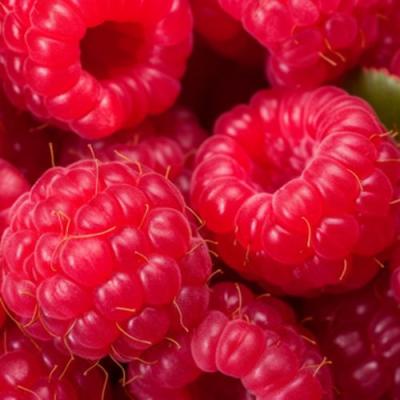 Красная в Орше