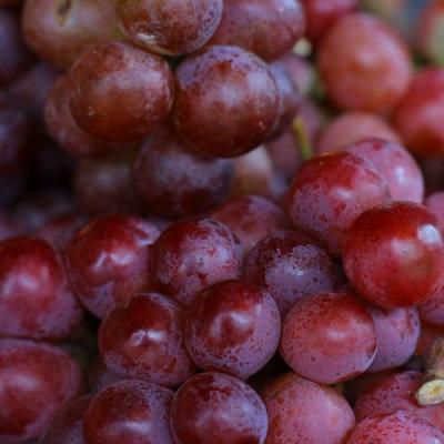 Красный в Орше